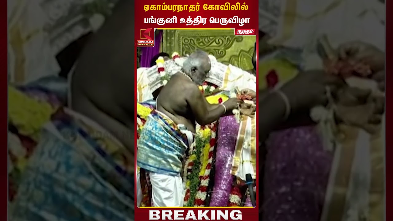 ஏகாம்பரநாதர் கோவிலில்  பங்குனி உத்திர பெருவிழா | Temple Festival | Kumudam News