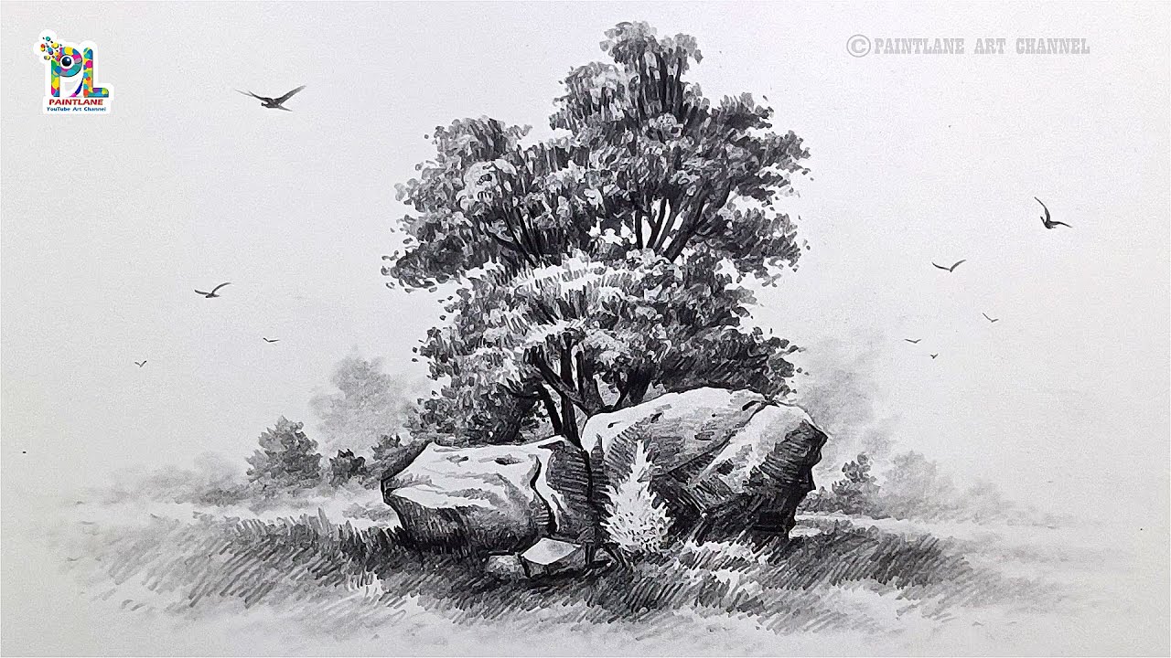 How to draw Tree & Rocks Pencil Shading Tutorial | Beautiful Pencil Landscape Drawing