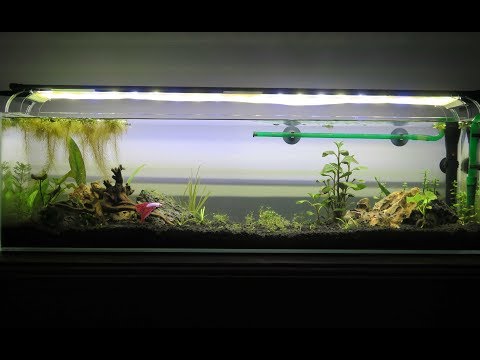12 Gallon Long Aquamaxx Tour