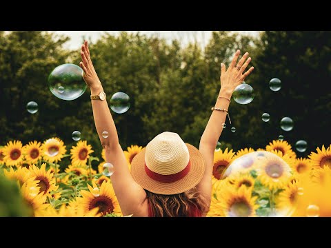 MPZ Homec 2020 - Aleluja