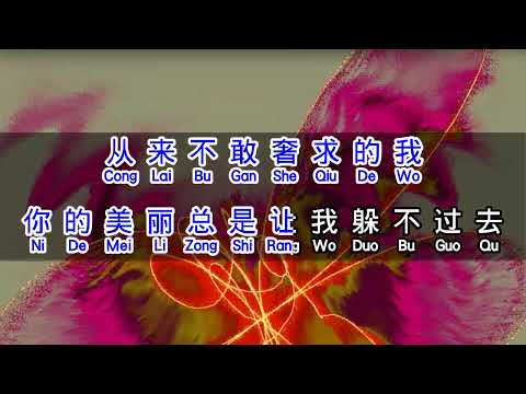 半吨兄弟 《 我是真的爱上你 》 wo shi zhen de ai shang ni