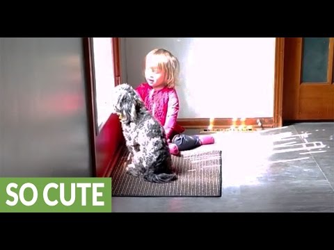 Toddler scolds puppy for barking at cars