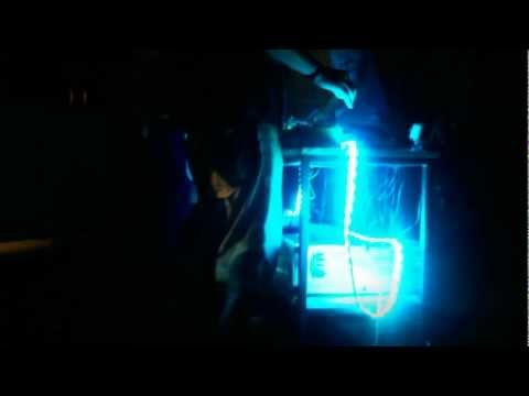 Culture Factory Polymer Festival 2012