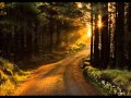 Mehdi Hassan Rare Ones Dil Me Ab Yun Tere Bhule Hue Gham Aate Hain Wmv