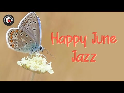 Happy June Jazz | Smooth Jazz & Bossa Nova Songs | Positive Cafè [Bossa Nova Jazz]