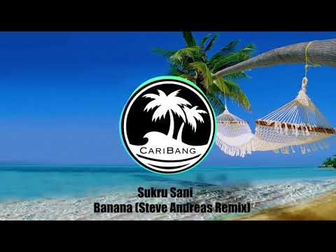 Sukru Sani - Banana (Steve Andreas Remix)