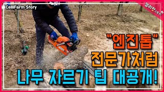 엔진톱 올바른 사용방법  화목나무 쉽게 자르기 How to Use a Chainsaw - DIY Firewo…