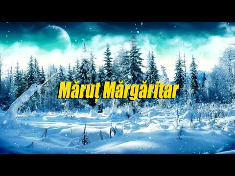 Puiu Fagarasanu - Marut Margaritar 
