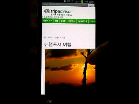 image search for google Video