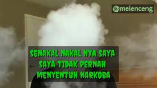 Download lagu Setori wa keren ( no narkoba) mp3 Download lagu Setori wa keren ( no narkoba) mp3