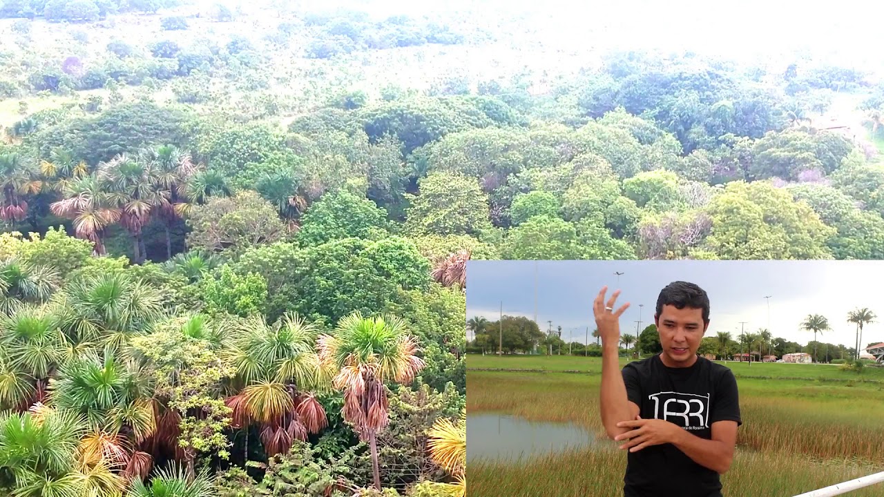 MEIO AMBIENTE - LIBRAS UFRR