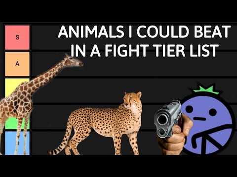 Animals I Could Beat In A Fight Tier List