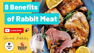 8 Benefits of Eating Rabbit Meat