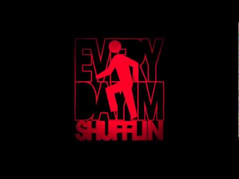 Avicii Levels & LMFAO Party Rock (Kurzversion)