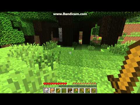 Minecraft -  Začátečníci