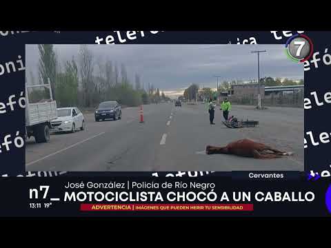 CERVANTES: CHOCÓ CONTRA UN CABALLO SUELTO
