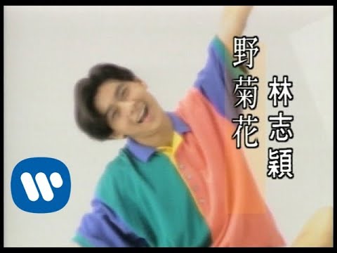 林志穎 Jimmy Lin - 野菊花 Wild Daisy (official官方完整版MV)