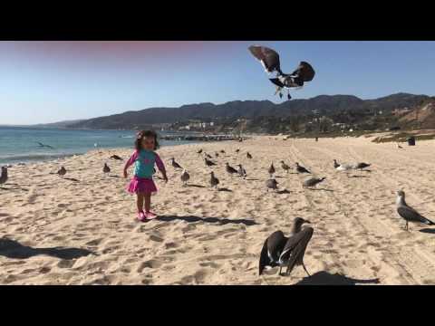 Día de Playa de Soleil