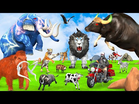 5 Giant Elephant Cow Vs Giant Indian Bison Vs 5 Giant Lion Tiger Bull Saved By Woolly Mammoth