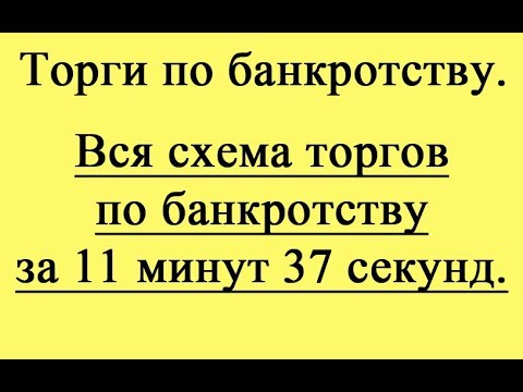 Вся схема торгов по банкротству за 11 минут 37 секунд.