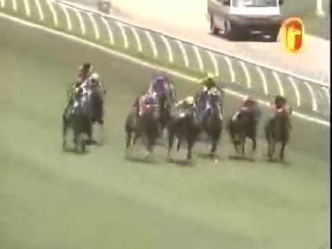 20110205 KL CLASS 5 1200M (SC) - ICY DOMAIN (N Callow)