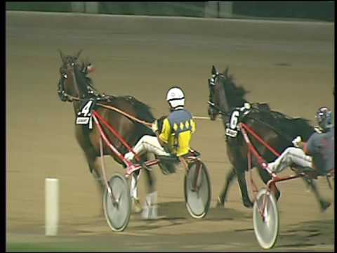 Trotto 30/07/2016 - 7° corsa