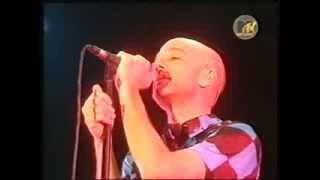R.E.M. - She Just Wants To Be  (Live Köln 2001)