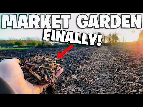 Woodchip Arrival! No-Dig Market Garden Beds & Progress Update