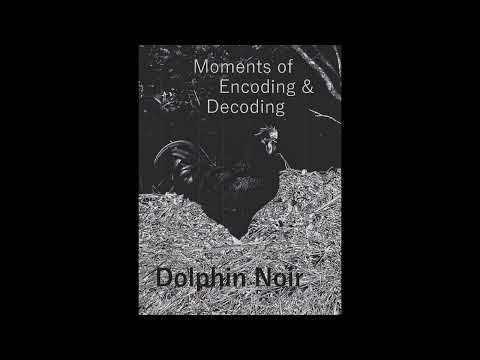 Moments of Encoding & Decoding - Dolphin Noir