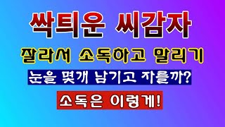 [텃밭농부 1,786]  싹틔운 씨감자. 잘라서 소독하고 말리는 방법. #감자재배 #씨감자