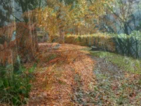 download lagu mp3 mp4 Frisson D Automne, download lagu Frisson D Automne gratis, unduh video klip Frisson D Automne