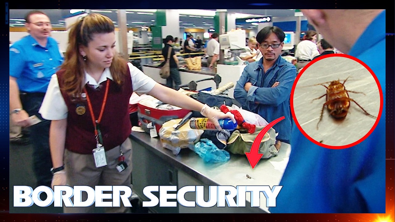 Border Security Australia 1.5 Hour Marathon | Season 1: Episodes 5 - 8