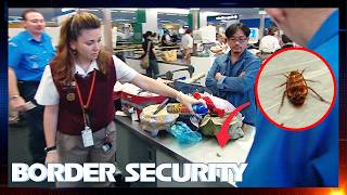 Border Security Australia 1.5 Hour Marathon | Season 1: Episodes 5 - 8 MQDEFAULT Thumbnail