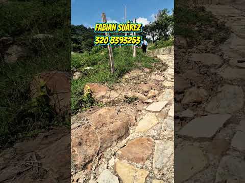 LOTE DE 1500 m² EN FUSAGASUGA CUNDINAMARCA