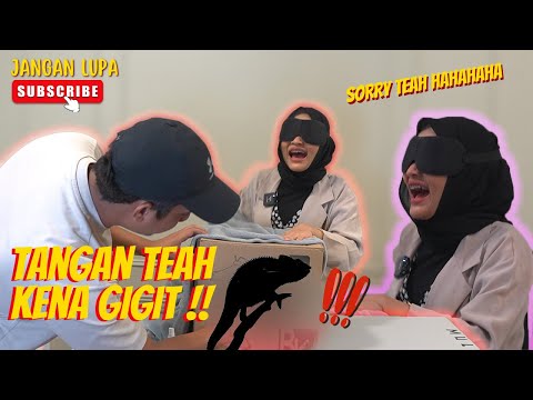 SIAPA PENAKUT DALAM TEAM ? - TEKA BENDA DALAM KOTAK !