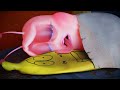 MISSING LOVE Larva Crazy Cartoons WildBrain Cartoons