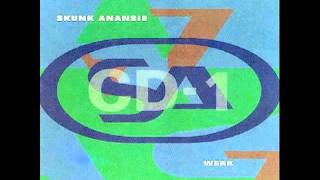 Skunk Anansie - Tour Hymn