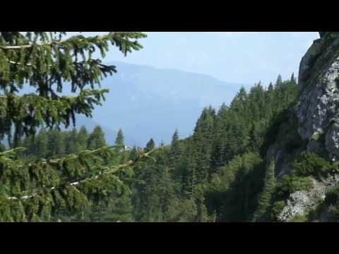 Visit Romania ~ Traseul spre Cabana Malaiesti