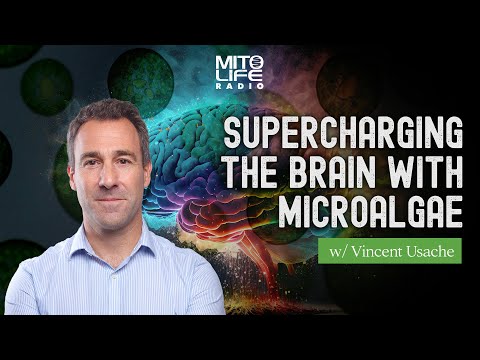 Supercharging the Brain with Microalgae w: Vincent Usache | Mitolife Radio Ep  #231
