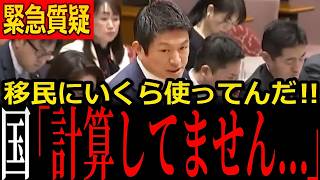 【移民問題】「まだ計算していません」外国人受け入れコスト試算ゼロの衝撃答弁…参政党・吉川りなと神谷宗幣が政府を追及【高市内閣】