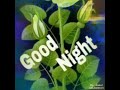 Bye Bye Bye Miss Good Night Good Status