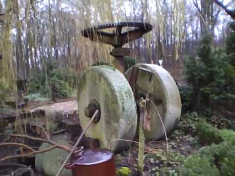 Ein einmaliges Erlebnis: Unser Besuch auf dem Hubertushof