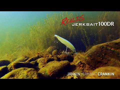 Advanced Lure Instruction - Realis Jerkbait pt .2