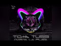 Toma Tussi gasta la Plata | Slowed + Reverb | Slowed Song | T90 Official Clan #tomatussi #slowed
