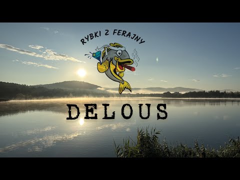 DELOUS 2025 ZASIADKA NA CZESKIE KARPIE 20+ RYBKI Z FERAJNY