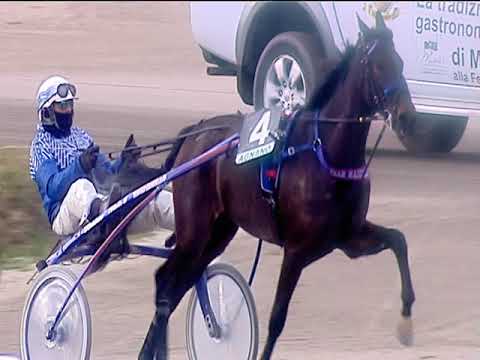 Trotto 08/01/2019 - 1ª corsa