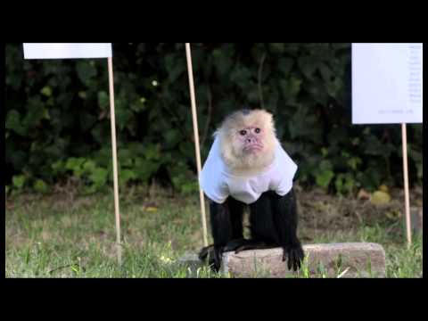 Zedd - Moment Of Clarity World Tour Announce