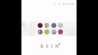 KEIN - In Bloom