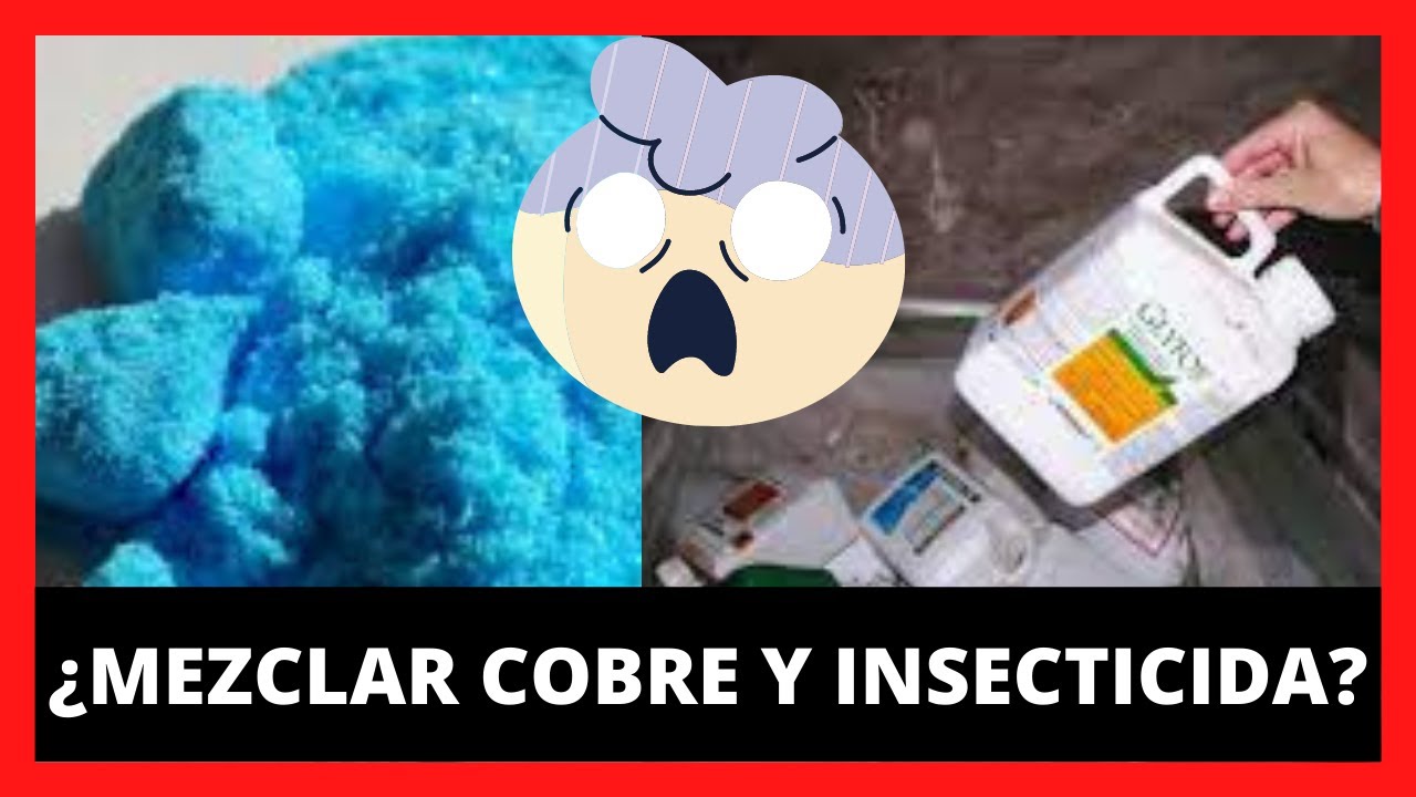 Watch Se puede mezclar COBRE con INSECTICIDA Now Se puede mezclar COBRE con INSECTICIDA