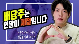 [주식] 연말에 인기많은 배당주 투자